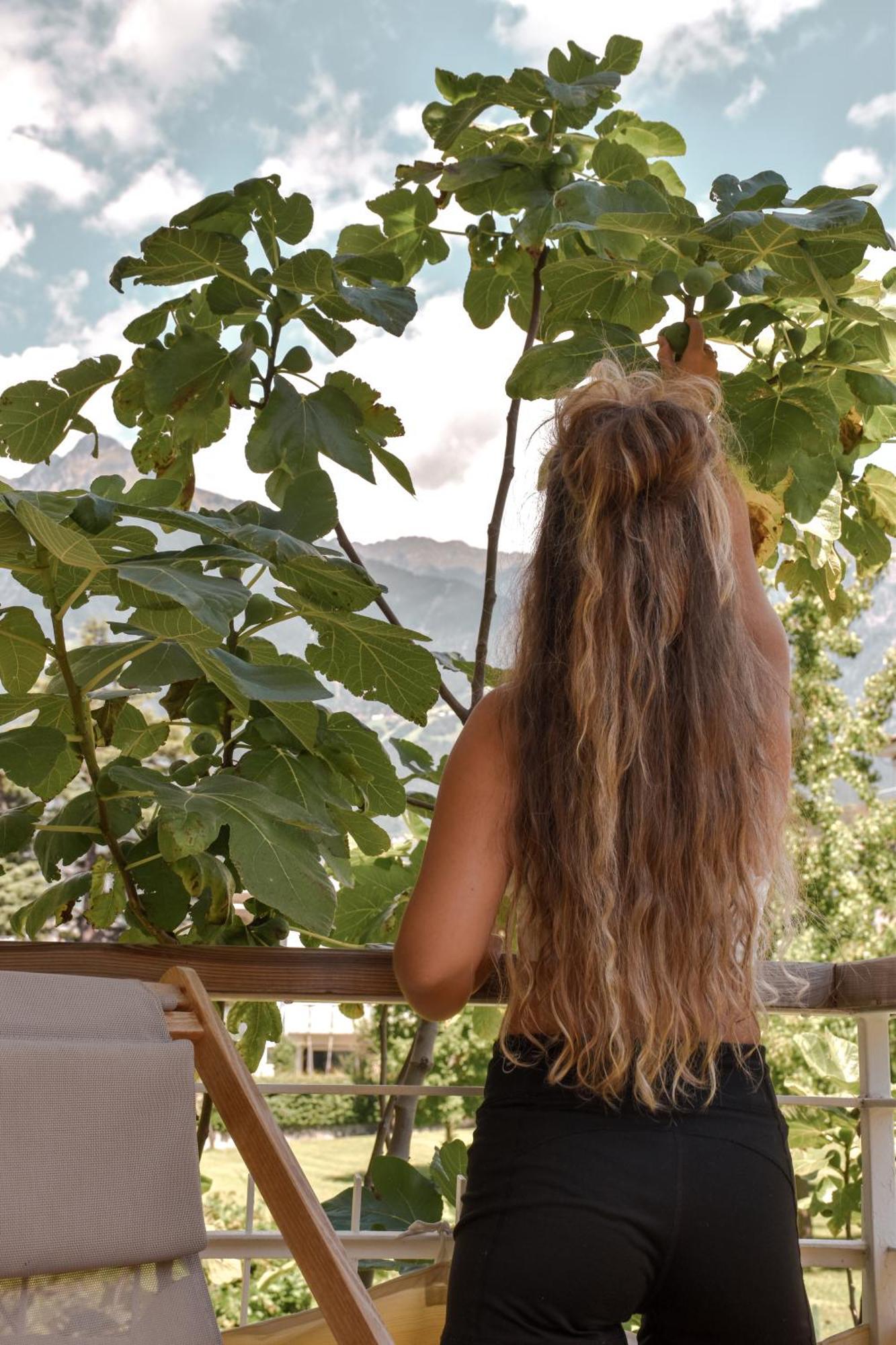 Alpimena Natur-Apartments Meran 외부 사진